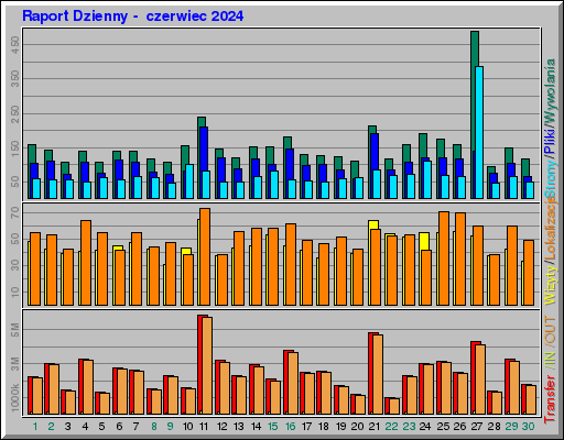 Raport Dzienny - czerwiec 2024 Raport Dzienny - czerwiec 2024