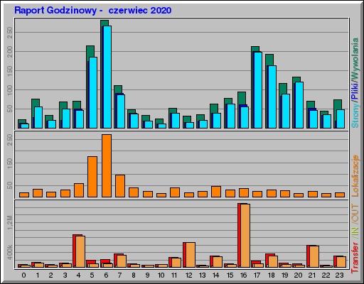Raport Godzinowy - czerwiec 2020 Raport Godzinowy - czerwiec 2020