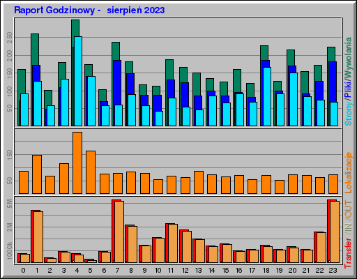 Raport Godzinowy - sierpieĹ 2023 Raport Godzinowy - sierpieĹ 2023
