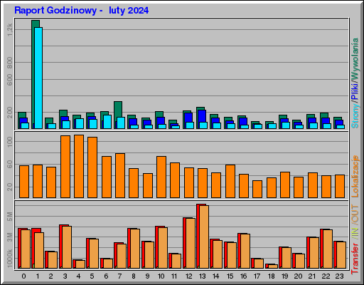 Raport Godzinowy - luty 2024 Raport Godzinowy - luty 2024