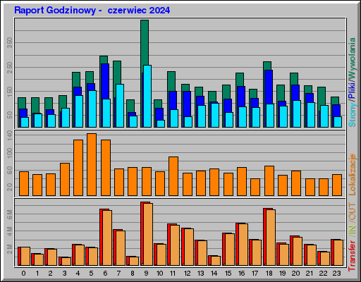 Raport Godzinowy - czerwiec 2024 Raport Godzinowy - czerwiec 2024