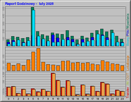 Raport Godzinowy - luty 2025 Raport Godzinowy - luty 2025